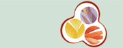 Arbejdsmiljø logo
